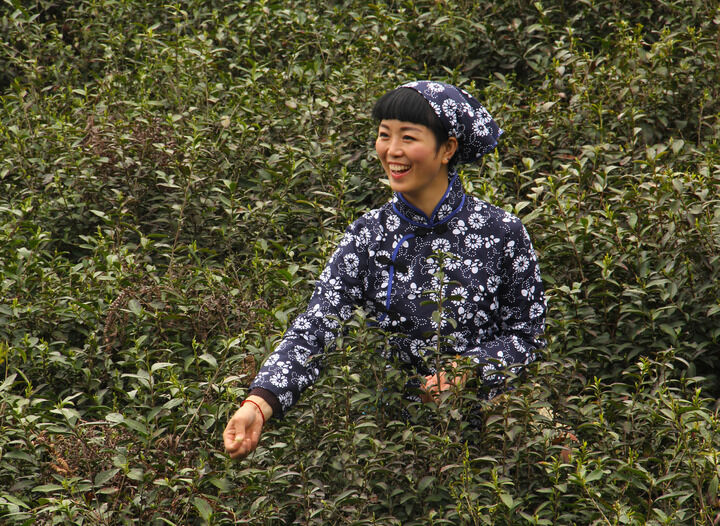 专题4